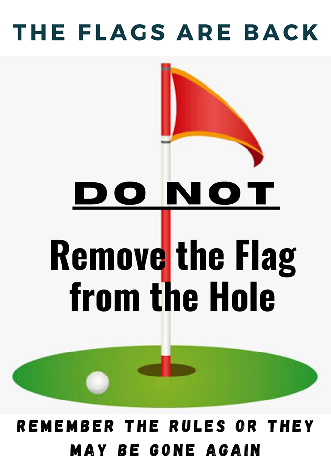 The flags are back! Do not remove the flag from the hole or they may be taken away again.