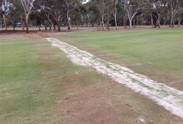 Mainline turf reinstated